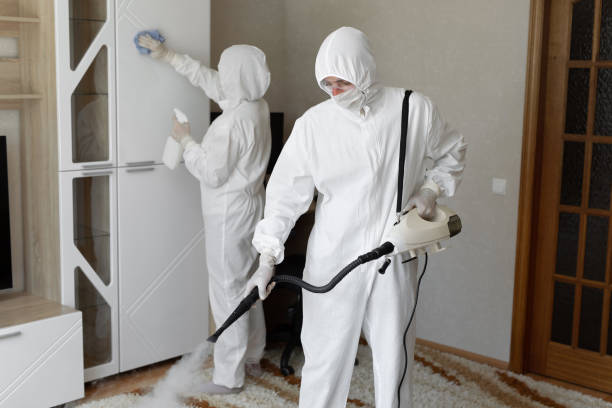 Best Health and Safety Mold Remediation in Central City, IA